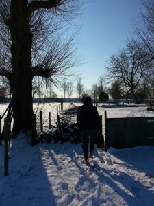 paarden water geven