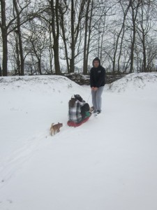 Op de slee door de sneeuw